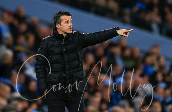 Marco Silva - Manager