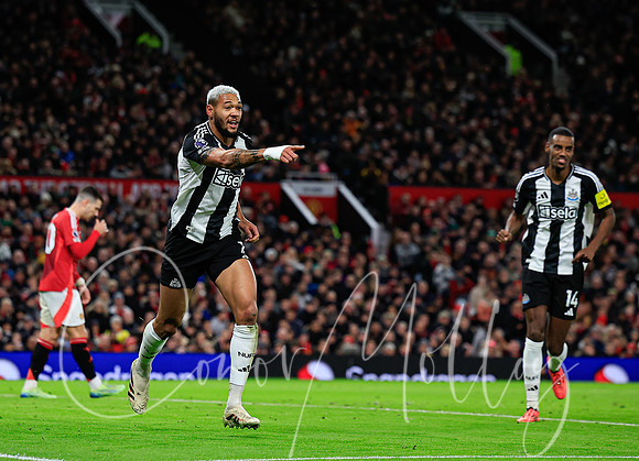Joelinton celebrates
