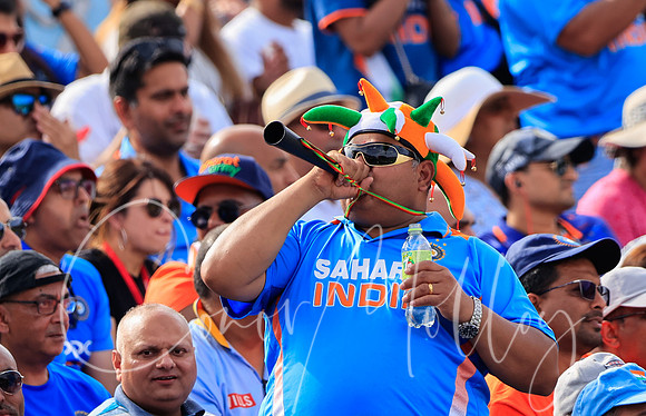 Indian cricket fan celebrating