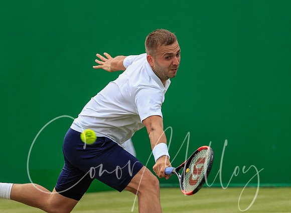 Daniel Evans (GBR)