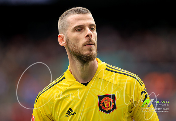 David De Gea