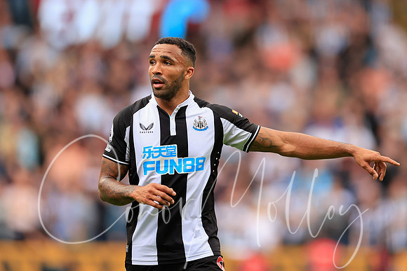 Callum Wilson