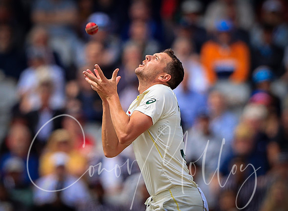 Josh Hazelwood takes the catch for Australia