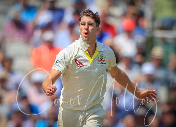 Pat Cummins of Australia reacts to a near miss.