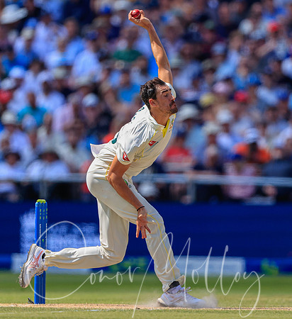 Mitchell Starc I bowling action for Australia.