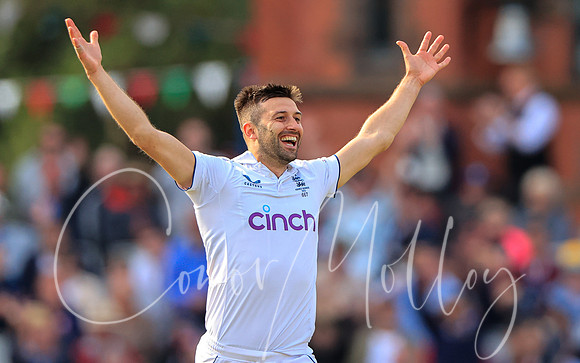 Mark Wood celebrates a wicket for England v Australia