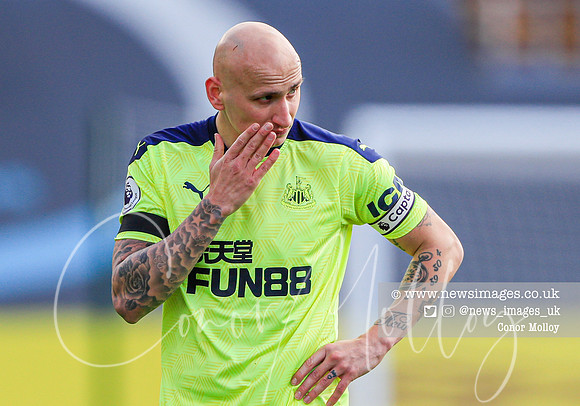 Johnjo Shelvey