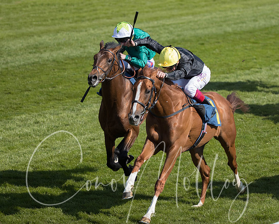 Frankie Dettori on Stradivarius