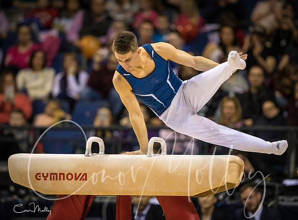 Max Whitlock MBE