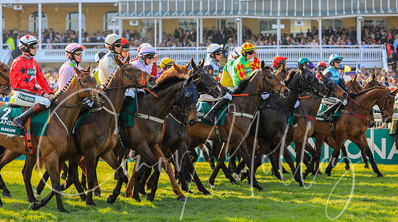 Horses gather at the start of the 2018 Grand National