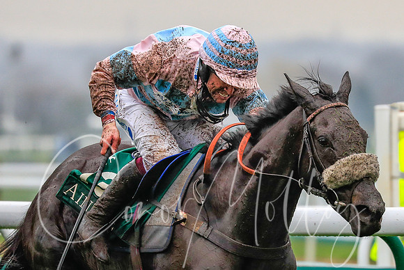 Robert Dunne on Jester Jet
