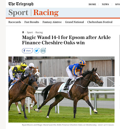 The Telegraph