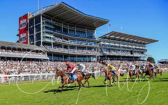 Fendale wins at York
