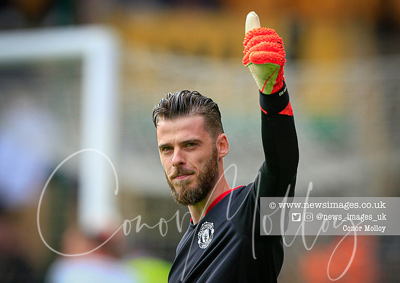 David de Gea