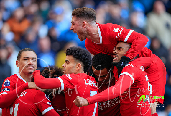 Team celebration