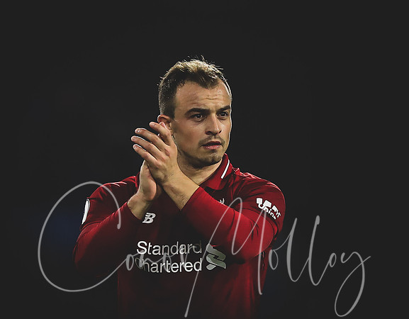 Xherdan Shaqiri