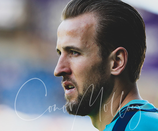 Harry Kane