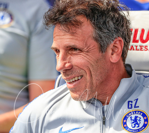 Gianfranco Zola