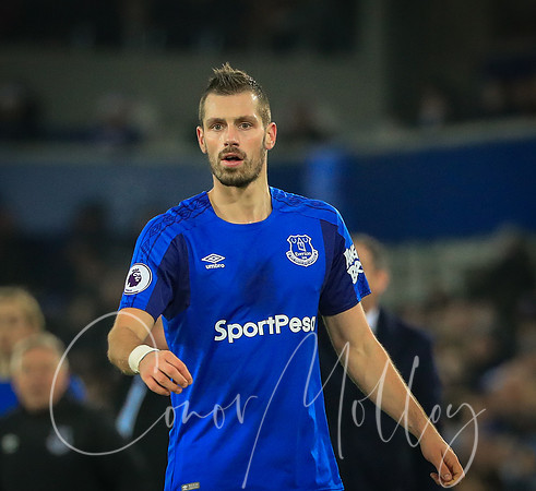 Morgan Schneiderlin