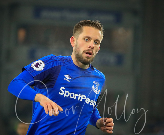 Gylfi Sigurdsson
