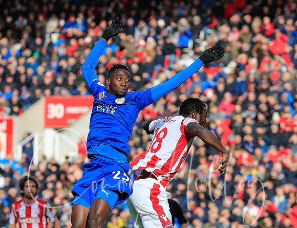 Wilfred Ndidi