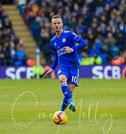 James Maddison