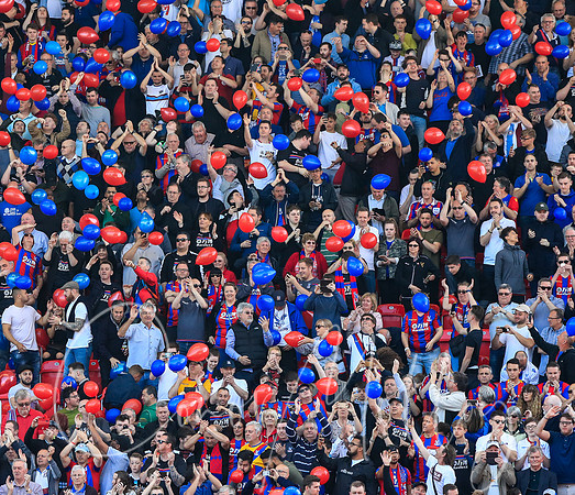 Palace fans in good cheer