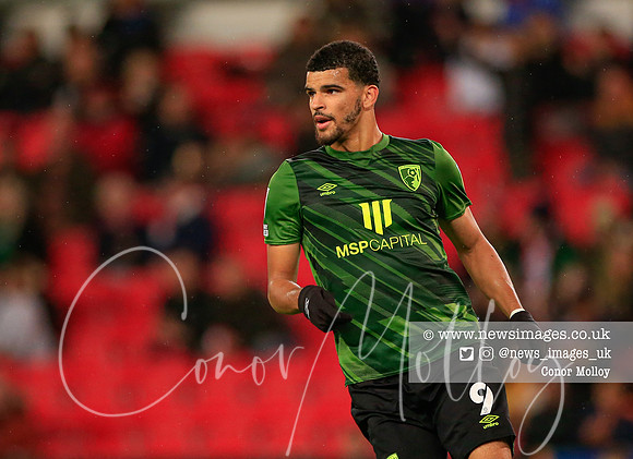 Dominic Solanke
