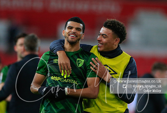 Dominic Solanke