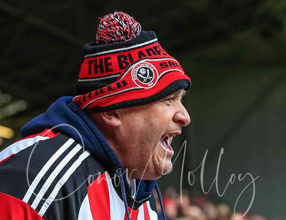 Come on the Blades !