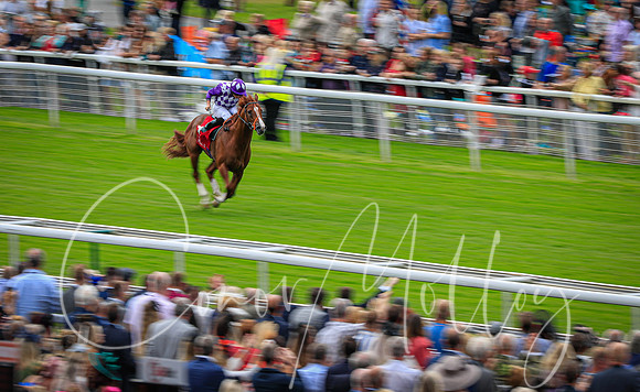 Mums Tipple ridden by Ryan Moore