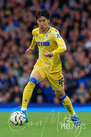 Daichi Kamada