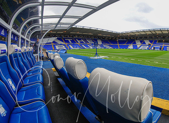 View from the bench at Birmingham City