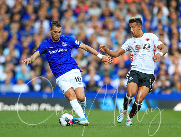 Morgan Schneiderlin