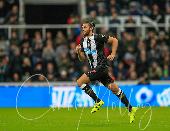 Andy Carroll