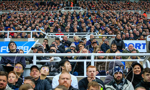 Packed stands at Newcastle United
