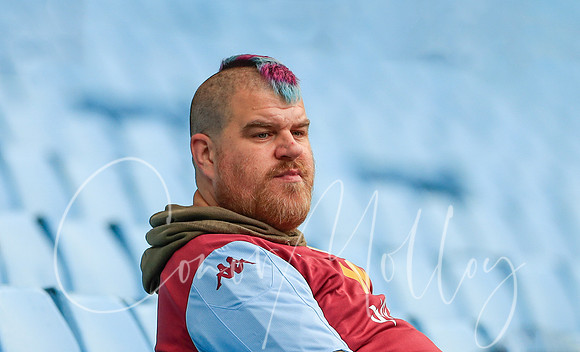 Villa fan