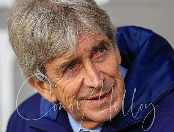 Manuel Pellegrini