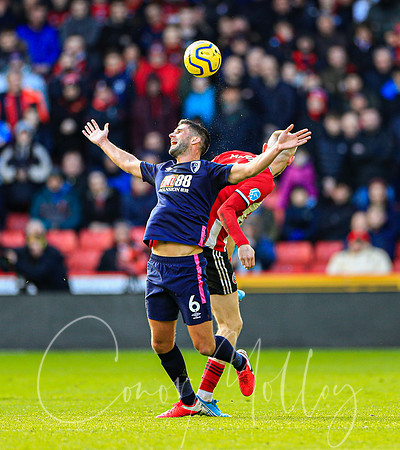 Andrew Surman