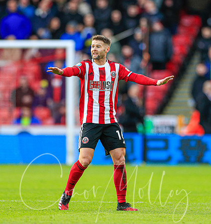 Ollie Norwood