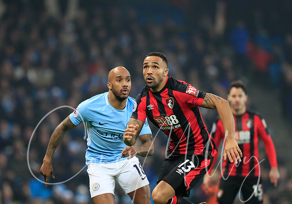 Callum Wilson
