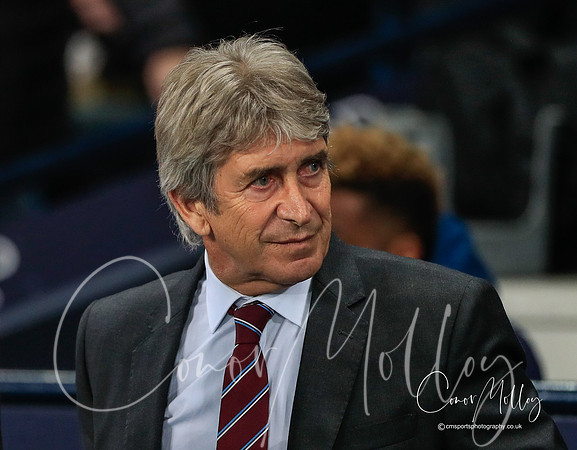 Manuel Pellegrini