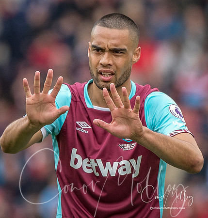 Winston Reid