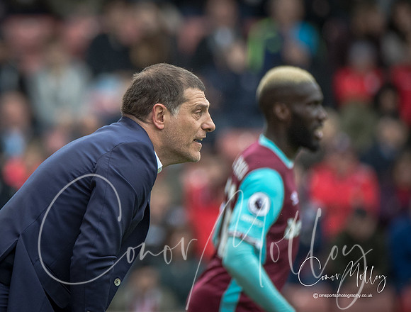 Slaven Bilic - Manager