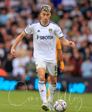 Marc Roca