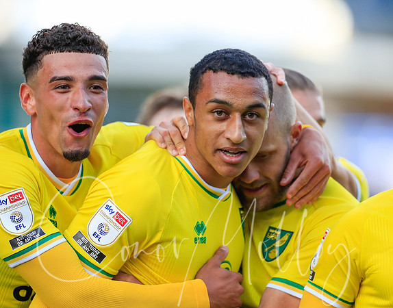 Norwich players celebrate