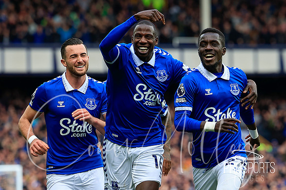 Abdoulaye Doucoure & Idrissa Gueye for Everton