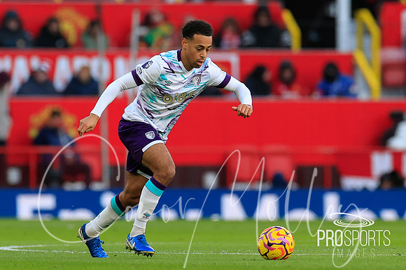 Tyler Adams